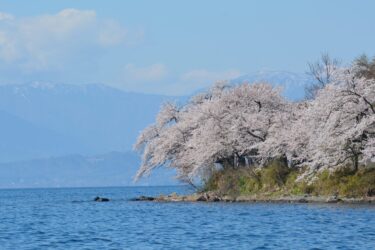 【必要なのは三種類】春の琵琶湖おかっぱりで絶対に必要なラバージグとテクニック